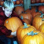 Picking out his own pumpkin