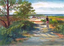 Bicycling on Cape Cod